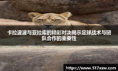 卡拉波波与亚拉库的精彩对决揭示足球战术与团队合作的重要性
